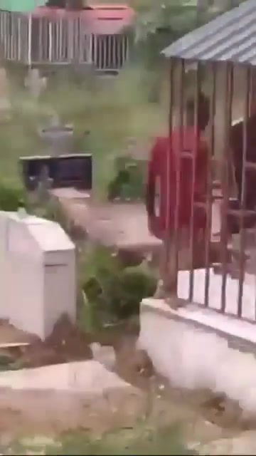 Caught having sex in the graveyard