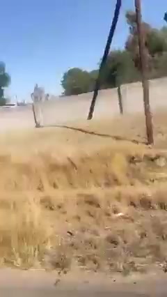 O Re Nyobile
